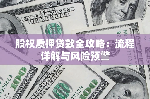 武汉股权质押贷款全攻略：流程详解与风险预警