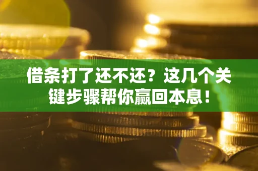 武汉借条打了还不还？这几个关键步骤帮你赢回本息！