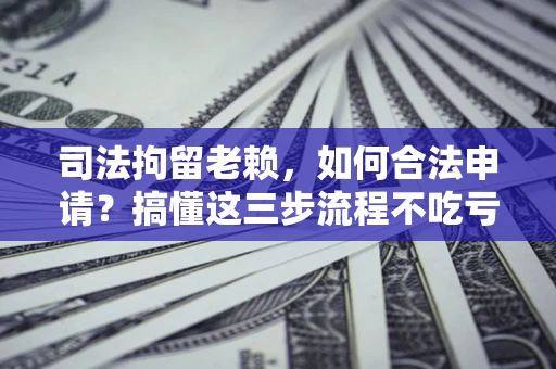 武汉司法拘留老赖，如何合法申请？搞懂这三步流程不吃亏！