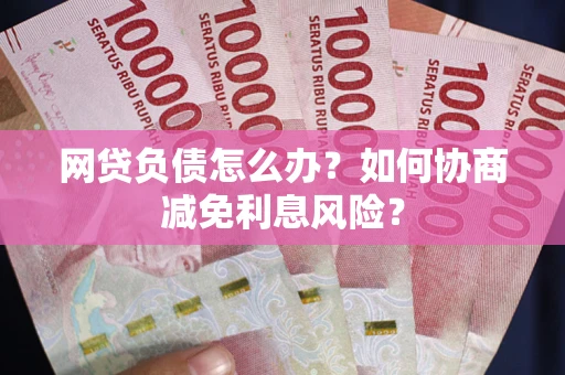 武汉网贷负债怎么办？如何协商减免利息风险？
