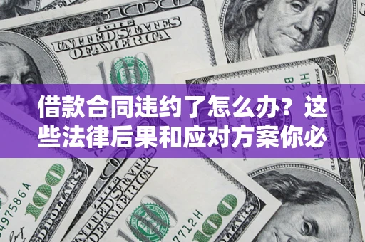 武汉借款合同违约了怎么办？这些法律后果和应对方案你必须知道