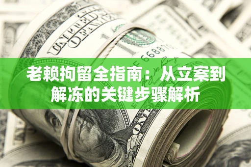武汉老赖拘留全指南：从立案到解冻的关键步骤解析