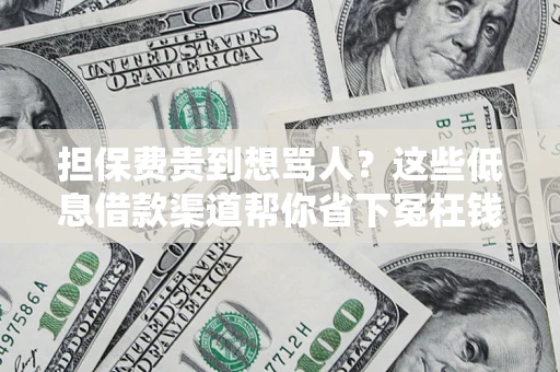武汉担保费贵到想骂人？这些低息借款渠道帮你省下冤枉钱