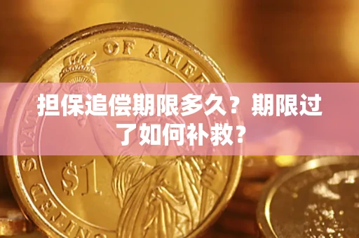 武汉担保追偿期限多久？期限过了如何补救？