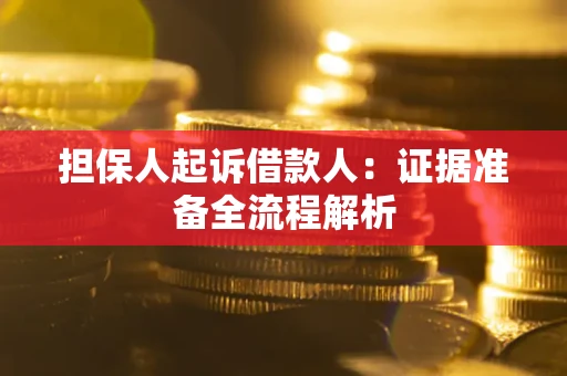 武汉担保人起诉借款人：证据准备全流程解析