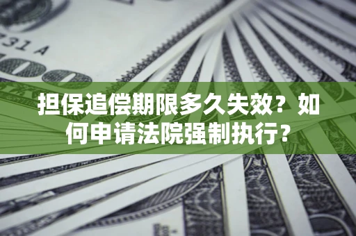 武汉担保追偿期限多久失效？如何申请法院强制执行？