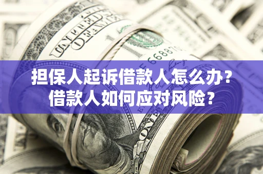 武汉担保人起诉借款人怎么办？借款人如何应对风险？
