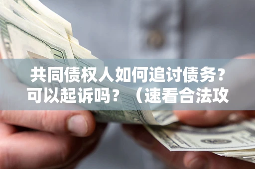 武汉共同债权人如何追讨债务？可以起诉吗？（速看合法攻略）