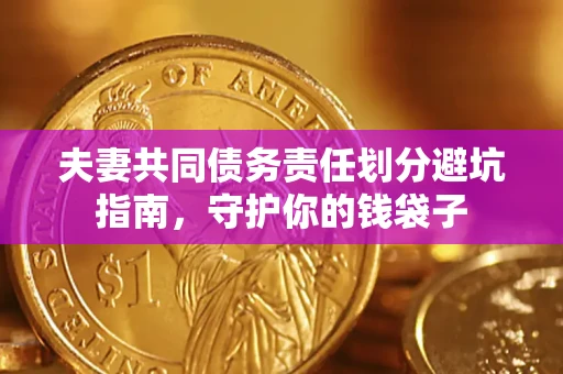 武汉夫妻共同债务责任划分避坑指南，守护你的钱袋子