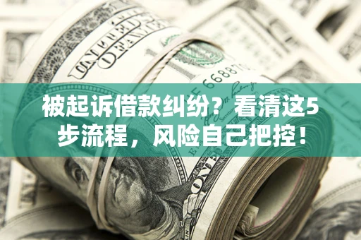 武汉被起诉借款纠纷？看清这5步流程，风险自己把控！