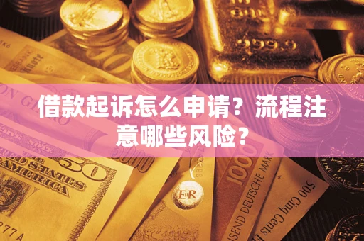 武汉借款起诉怎么申请？流程注意哪些风险？