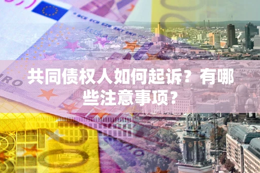 武汉共同债权人如何起诉？有哪些注意事项？